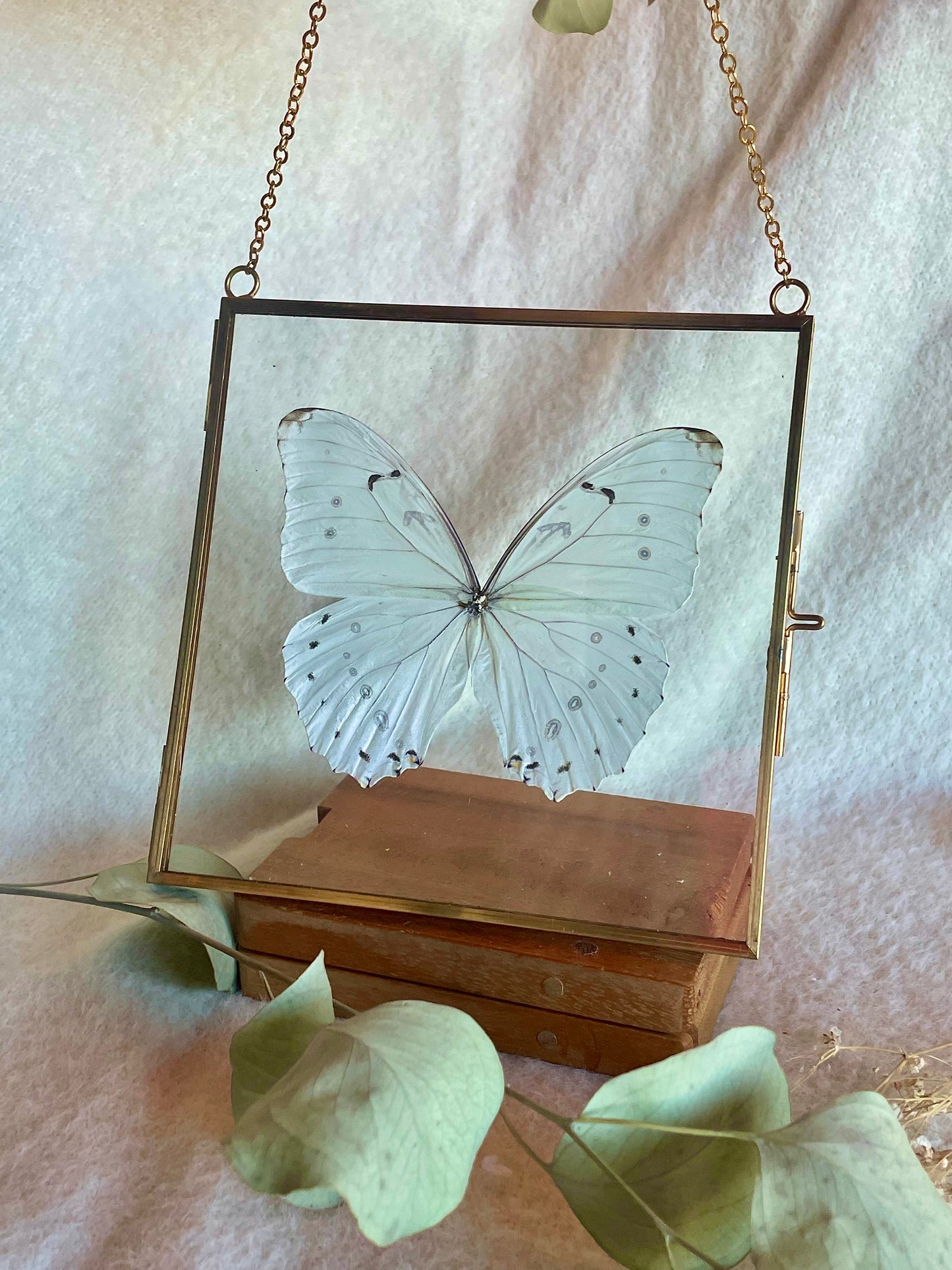 Hanging Morpho Square Pendant