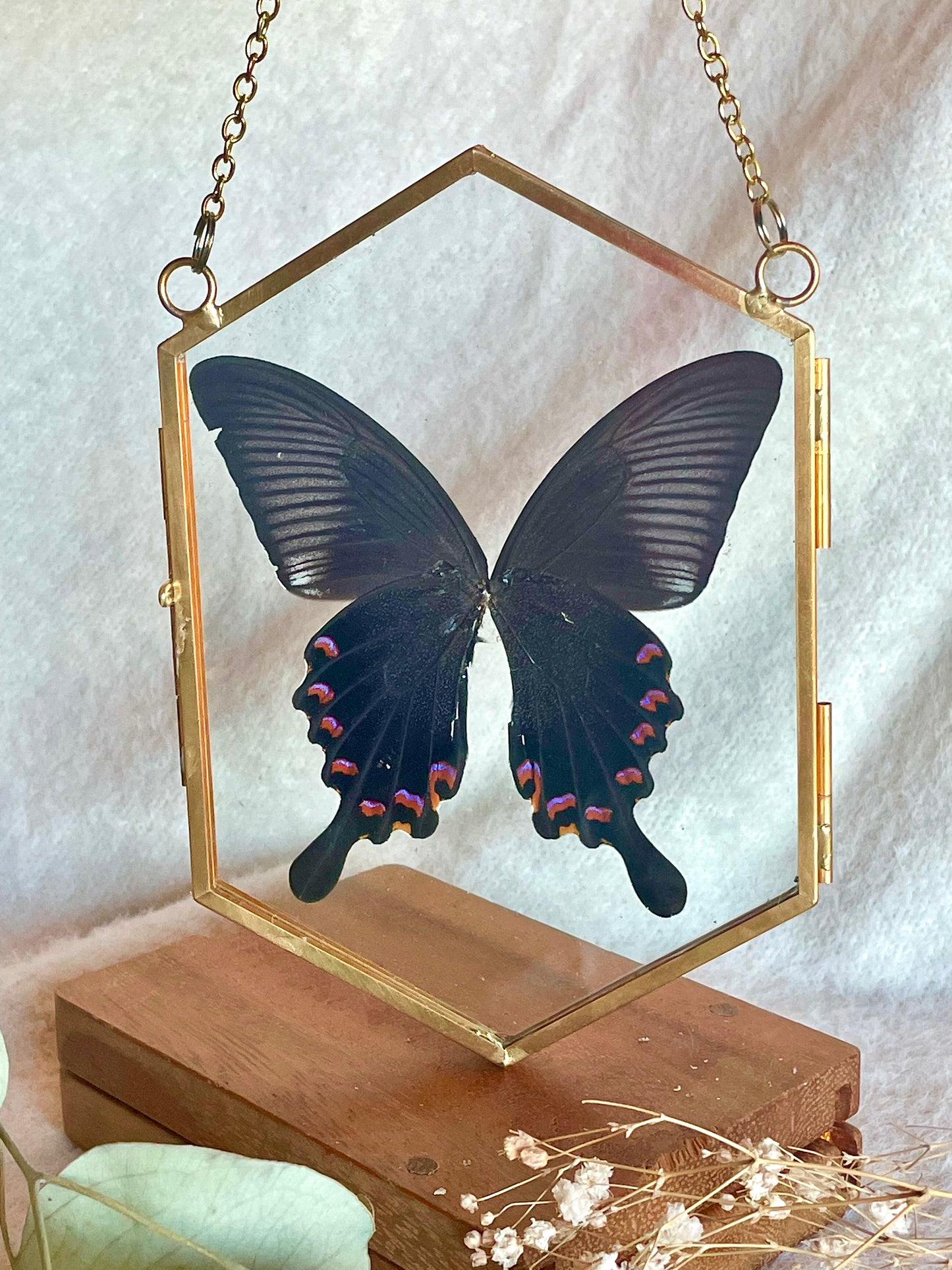 Paris Peacock Swallowtail Pendant